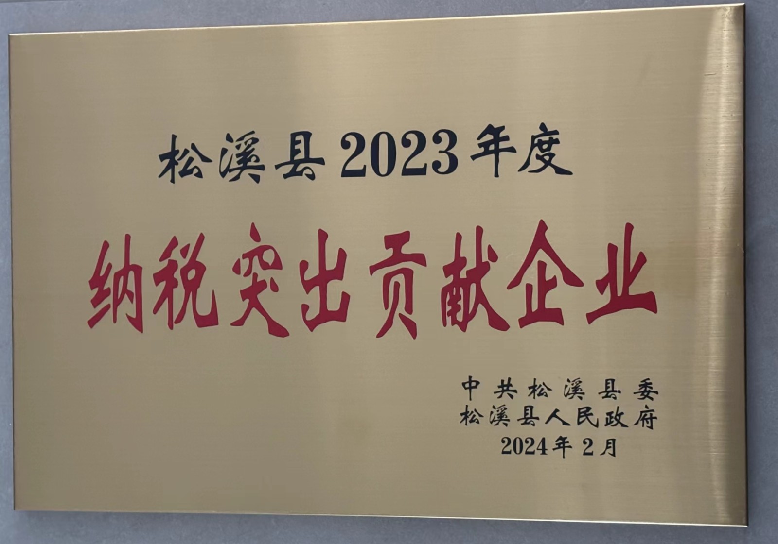 喜報(bào)！易順建工集團(tuán)榮獲“松溪縣2023年度納稅突出貢獻(xiàn)企業(yè)”稱號