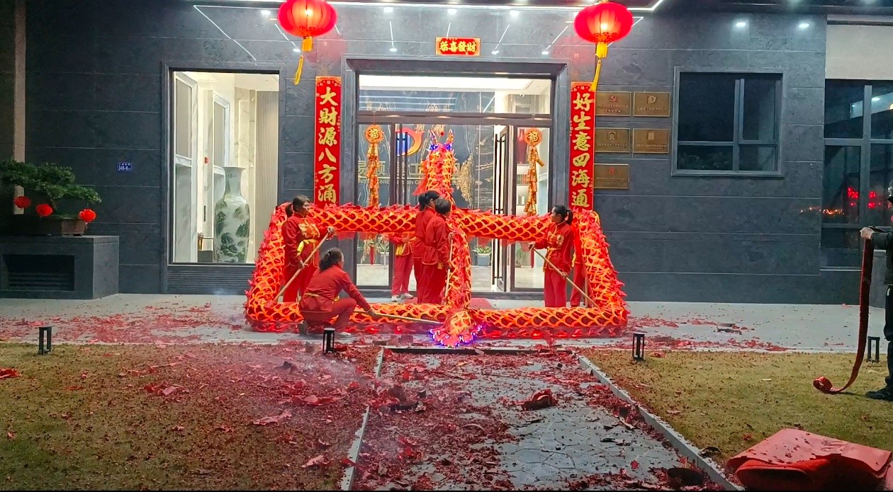 蛇舞新春，龍騰瑞氣
