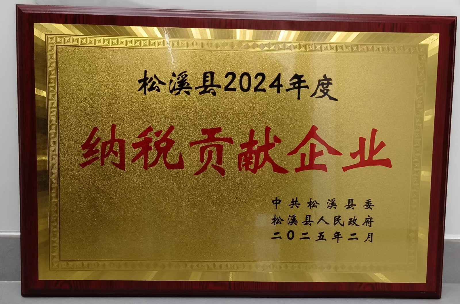 喜報！易順建工集團(tuán)榮獲“松溪縣2024年度納稅貢獻(xiàn)企業(yè)”稱號